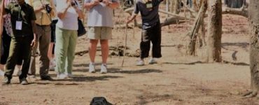 Finally, Komodo Park Crowded with Foreign Tourists