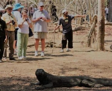 Finally, Komodo Park Crowded with Foreign Tourists