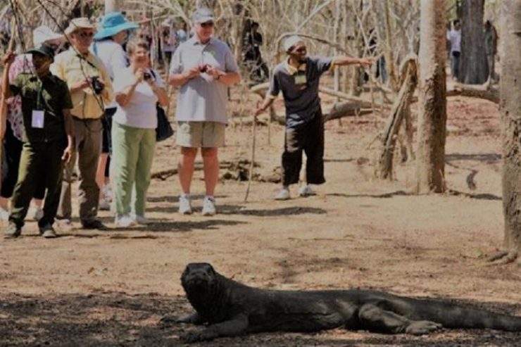 Finally, Komodo Park Crowded with Foreign Tourists