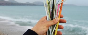 Jaringan Hotel Tauzia Kini Tak Gunakan Pakai Plastik Lagi