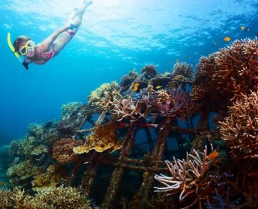 Pemuteran Village, Bali’s Marine Destination of Choice